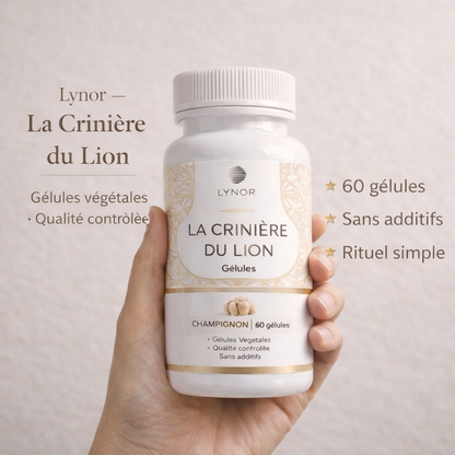 Crinière de Lion – Gélules Premium