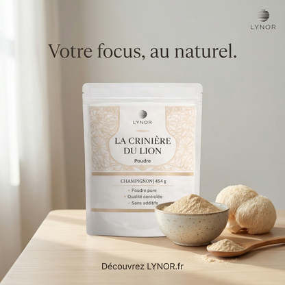 Crinière de Lion – Poudre pure