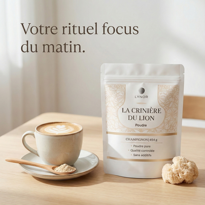Crinière de Lion – Poudre pure