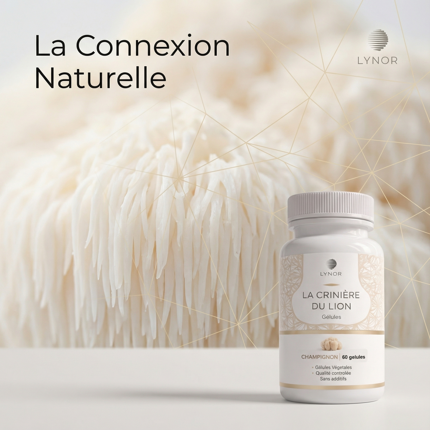 Crinière de Lion – Gélules Premium