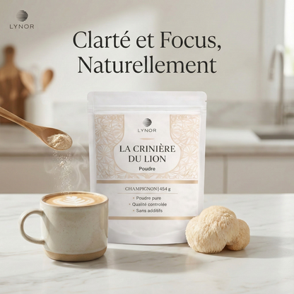 Crinière de Lion – Poudre pure