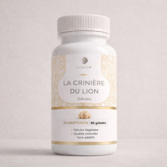 Crinière de Lion – Gélules Premium
