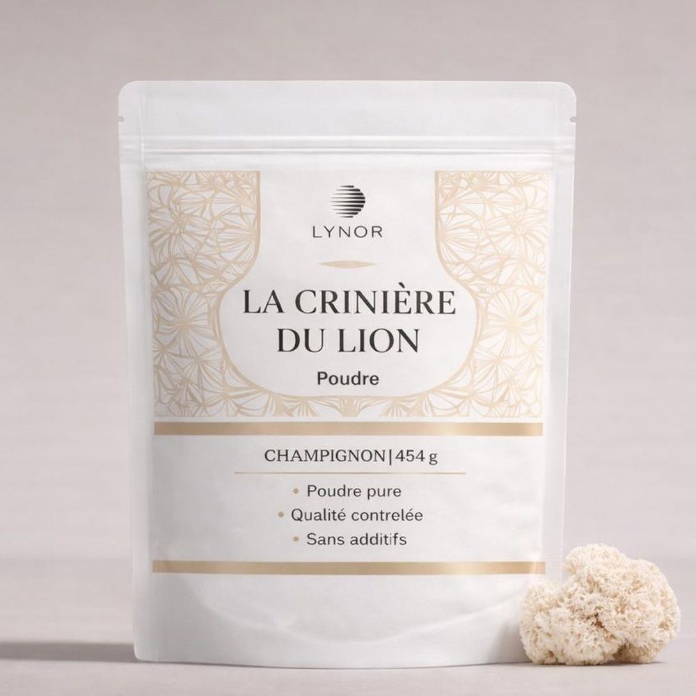 Crinière de Lion – Poudre pure